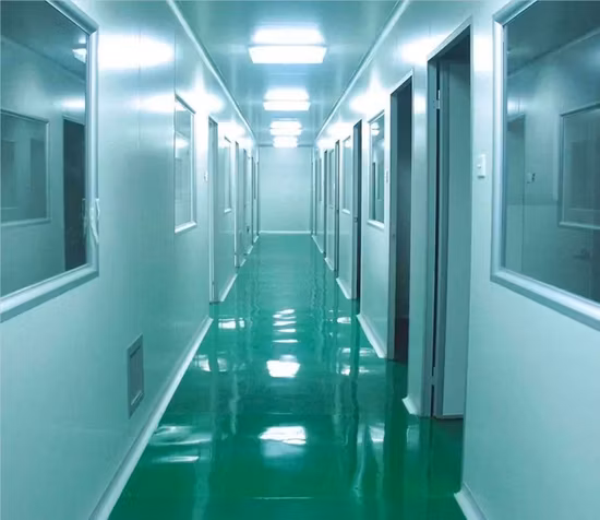 천연 감미료 스님 과일 추출물 20% 25% 50% 70% Mogroside V Luo Han Guo 추출물 스님 과일 분말 스님 과일 농축액 주스 허브 추출물 스님 과일