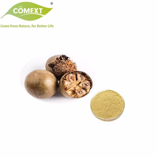 중국 제조 업체 감미료 유기농 스님 과일 추출물